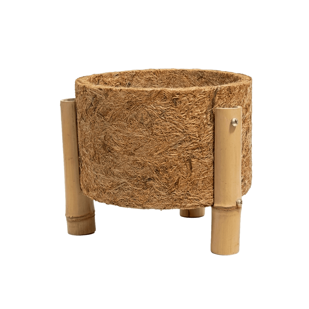 Cachepot