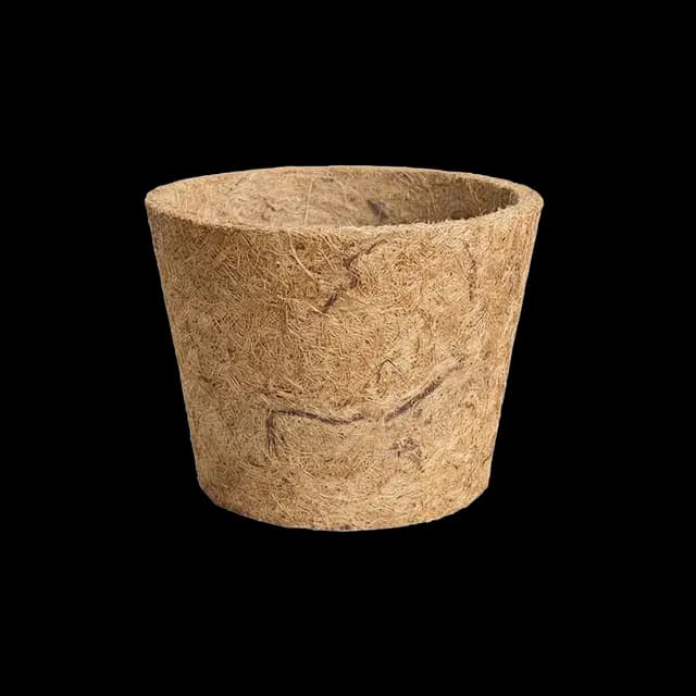 Vaso Cônico